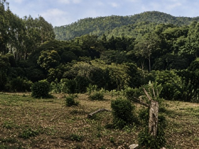 
                        Imóvel Rural, 101ha, Paulo Lopes/SC                     em Paulo Lopes/SC