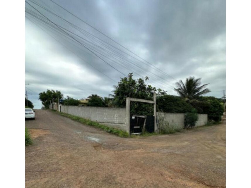 Imagem leilão