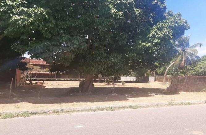 Imagem leilão