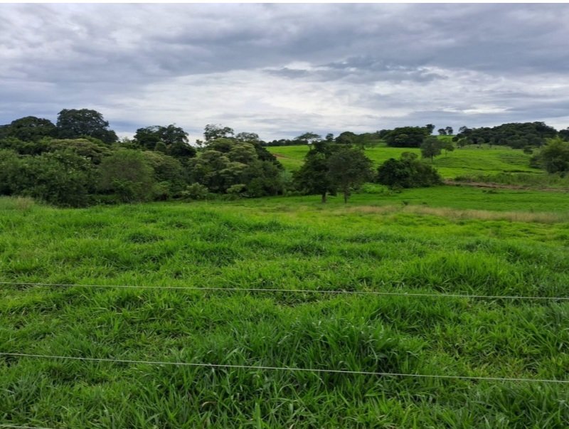 Terreno rural com ou sem benfeitorias em Jandaia/GO - foto 5