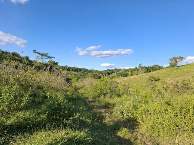 
                        Imóvel Rural, 201ha, Aiquara/BA                     em Aiquara/BA - foto 2