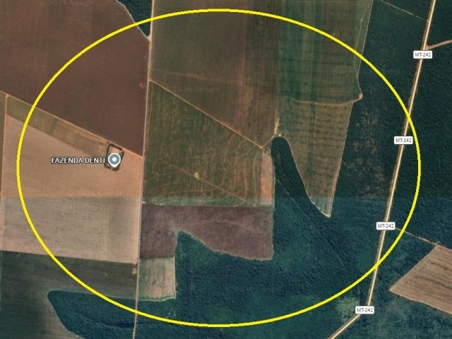 
                        Fazenda Monte Claro I, 85,8954 ha, Nova Ubiratã/MT em Nova Ubiratã/MT