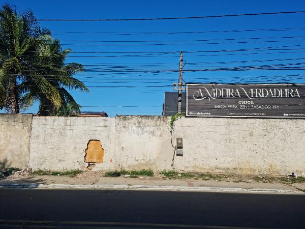 Imagem leilão