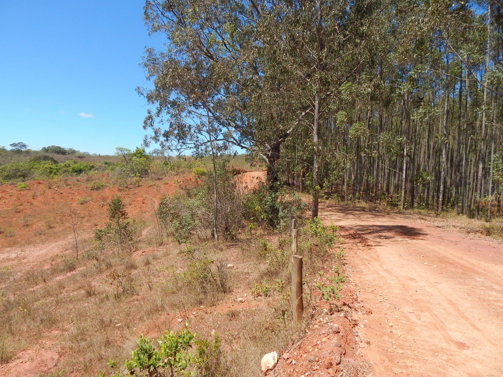 FAZENDA CAMPINAS APROXIMADAMENTE 90HA EM CRUZÍLIA /MG em Cruzília/MG - foto 5