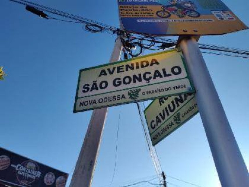 Imagem leilão