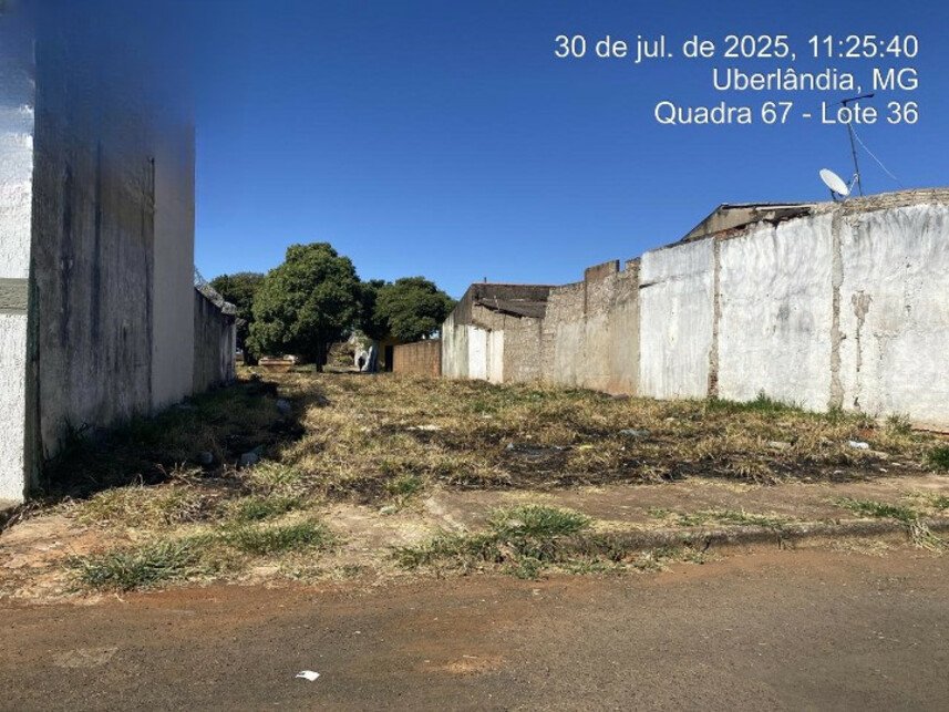 Imagem leilão