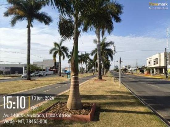 Imagem leilão