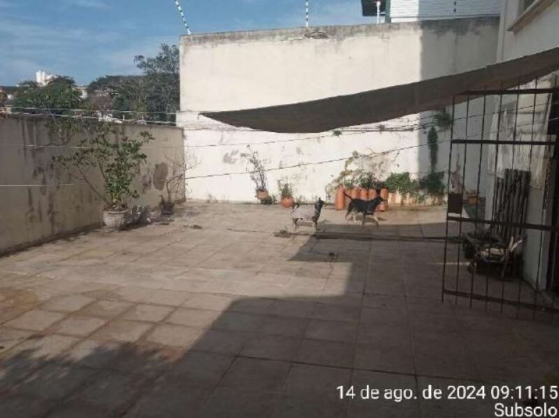 Imagem leilão
