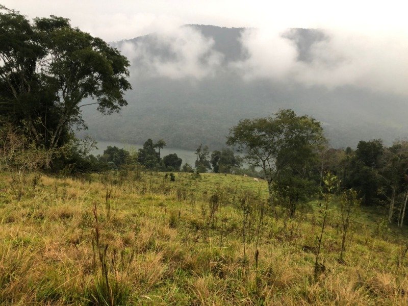 A FRAÇÃO IDEAL DE 50% (128.750,00M²) SOBRE O LOTE RURAL.. em Erval Grande/RS - foto 8
