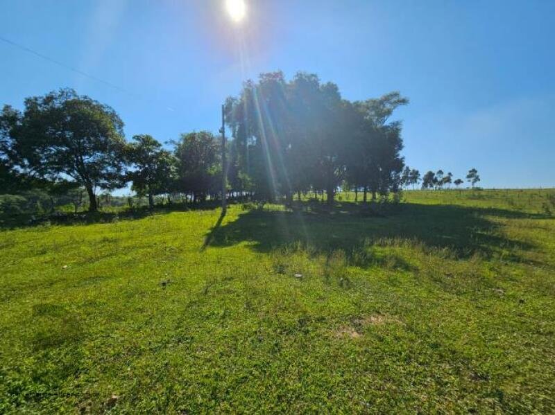 Terreno em Morro da Fumaça/SC - foto 16