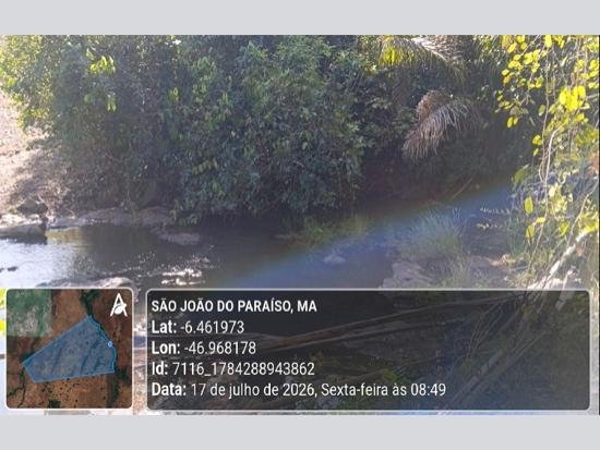 Imagem leilão