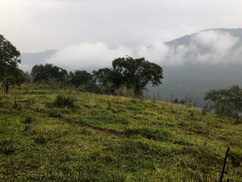 A FRAÇÃO IDEAL DE 50% (128.750,00M²) SOBRE O LOTE RURAL.. em Erval Grande/RS - foto 11