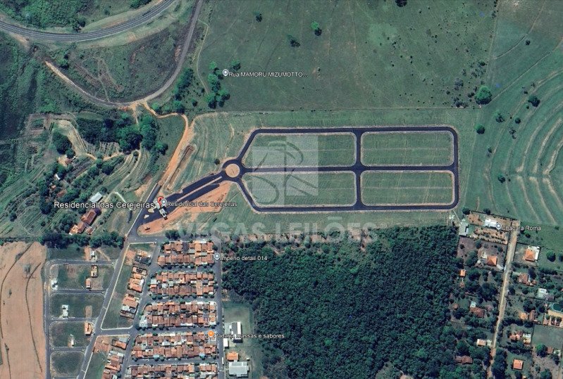 Imagem leilão