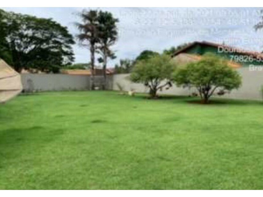 Imagem leilão