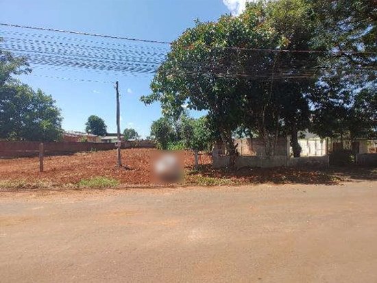 Imagem leilão