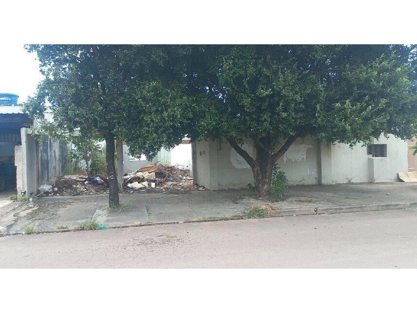 Imagem leilão
