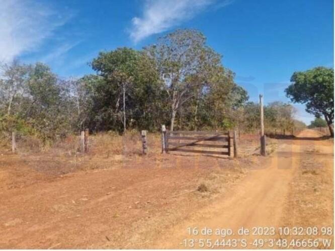 Imagem leilão