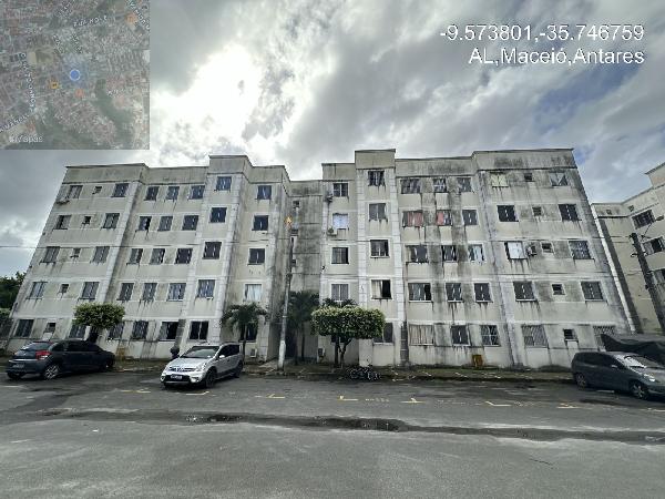 Imagem leilão