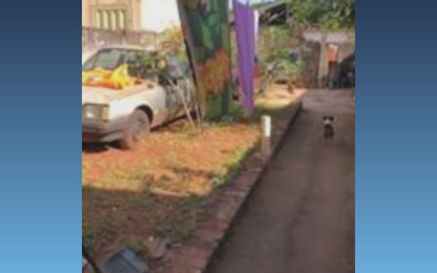 Imagem leilão