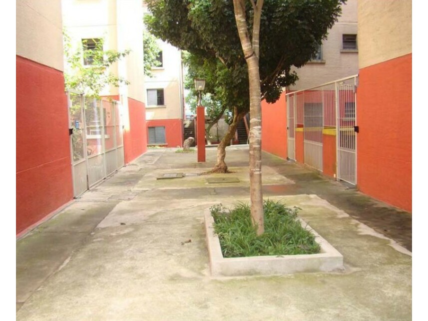 Imagem leilão