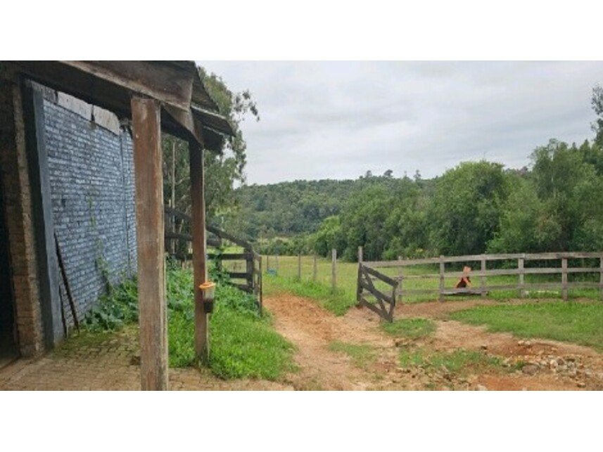 Imagem leilão