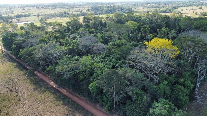 IMÓVEL RURAL COM 53,3362ha EM OURO PRETO DO OESTE/RO em Ouro Preto do Oeste/RO
