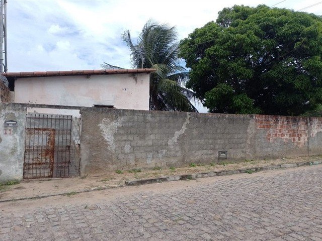 Imagem leilão