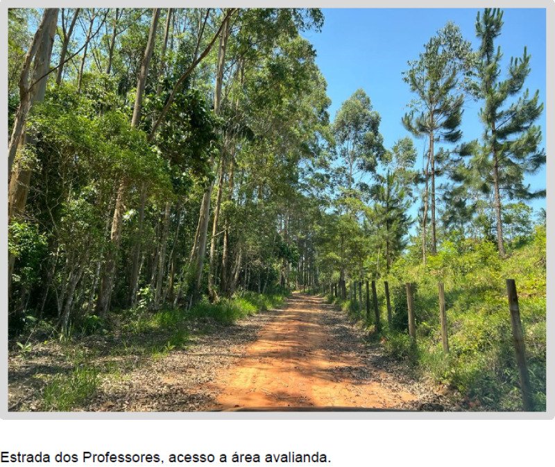 Imagem leilão