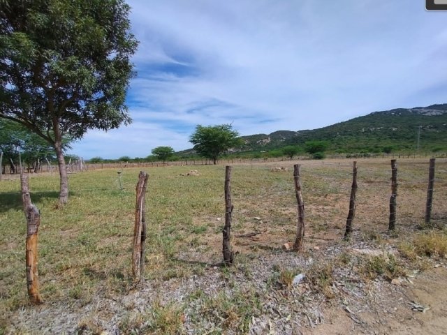 
                        Imóvel Rural, 76ha, Sertânia/PE                     em Sertânia/PE - foto 2