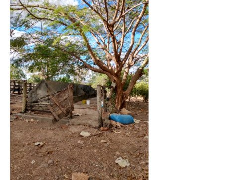 FAZENDA DOIS IRMÃOS MEDINDO 13,96 ALQUEIRES EM COLMÉIA, TOCANTINS em Colméia/TO - foto 7