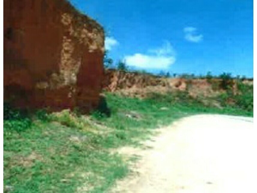 Imagem leilão