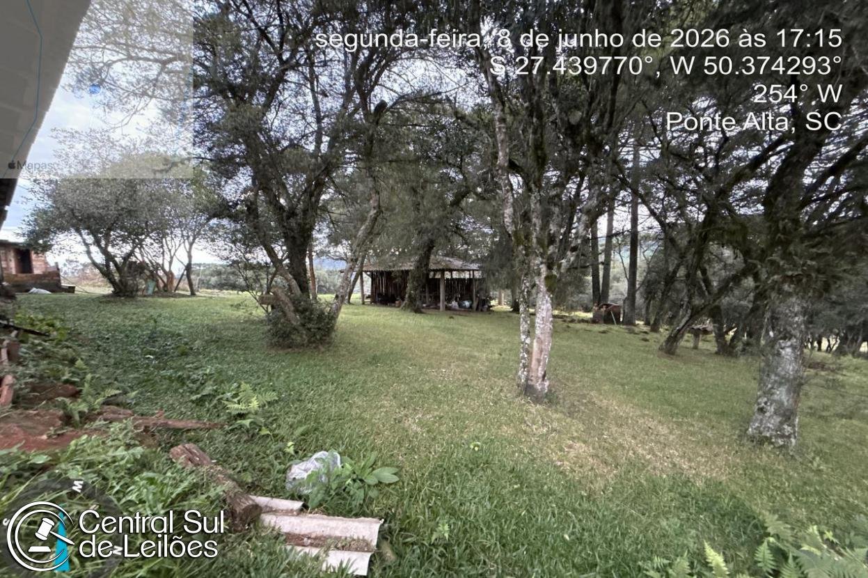 Imagem leilão