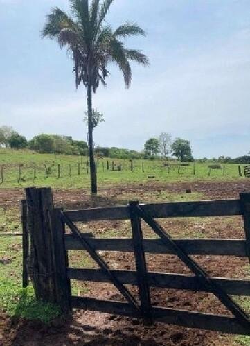 ID 21532 - Lote:
    1 - 202605000160 - Área rural - Propriedade Rural em Santa Fé de Goi em Santa Fé de Goiás/GO - foto 6