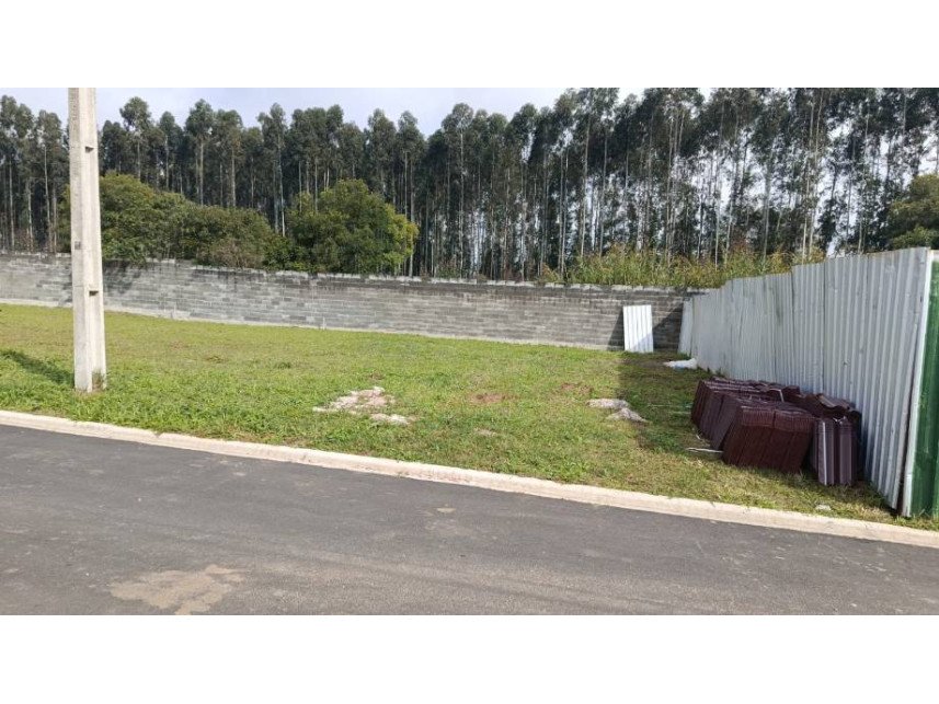 Imagem leilão