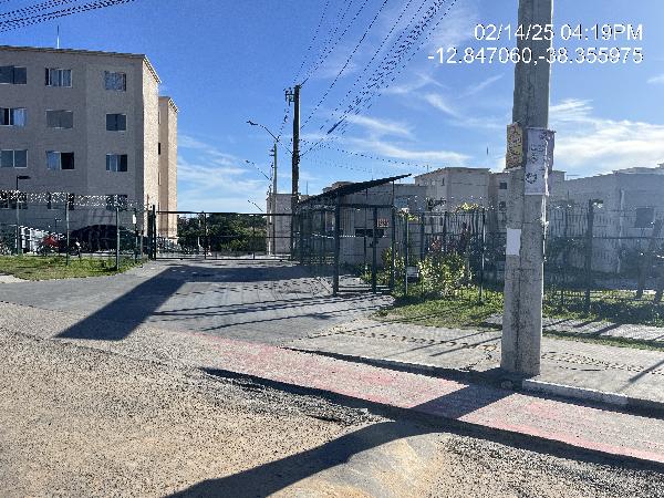 Imagem leilão