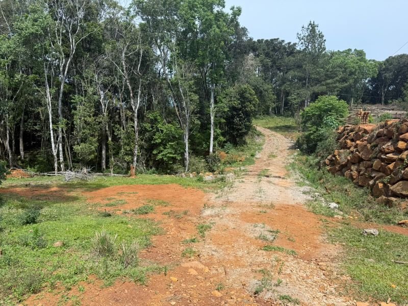Terreno Alto Suruvy  com 42.634,18m² em Concórdia/SC - foto 3