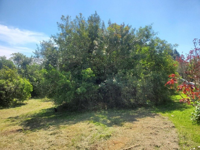 TERRENO NO CONDOMÍNIO CANTEGRIL IV EM VIAMÃO/RS em Viamão/RS - foto 3