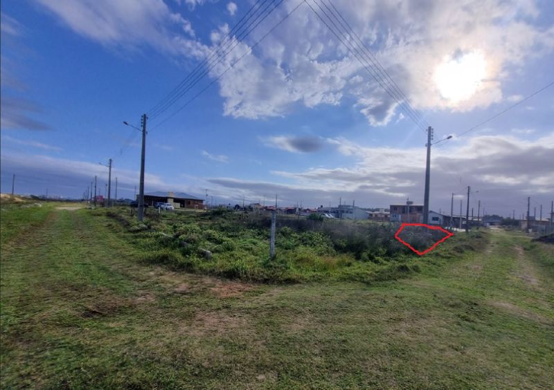 Imagem leilão