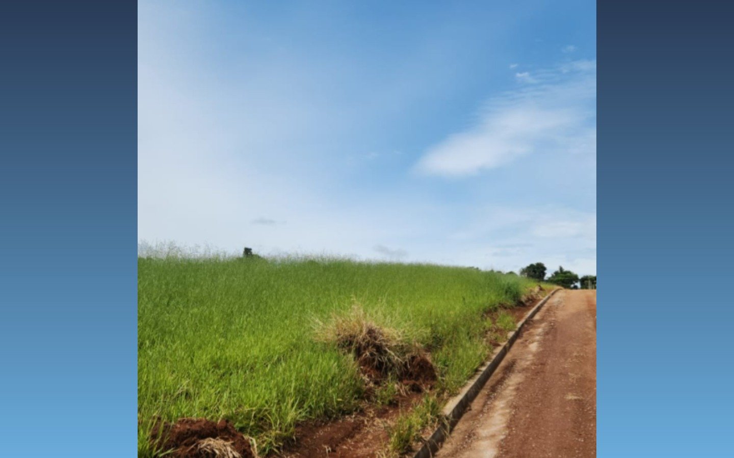 Terreno de 1.000m² — São Sebastião da Bela Vista/MG em São Sebastião da Bela Vista/MG - foto 2
