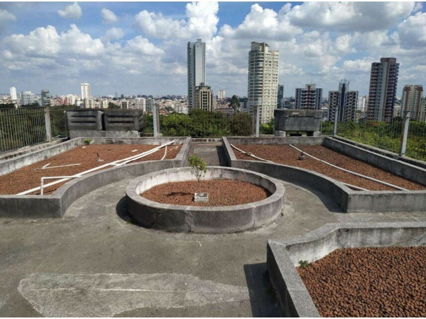 Imagem leilão