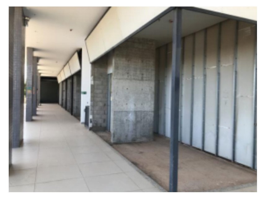 Imagem leilão