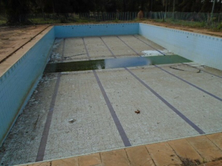 Imagem leilão