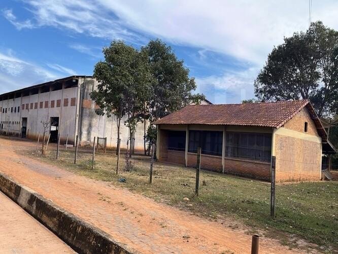 Imagem leilão