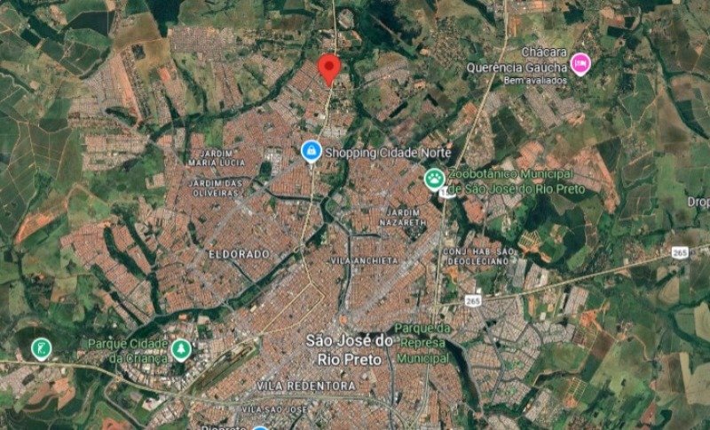 Imagem leilão