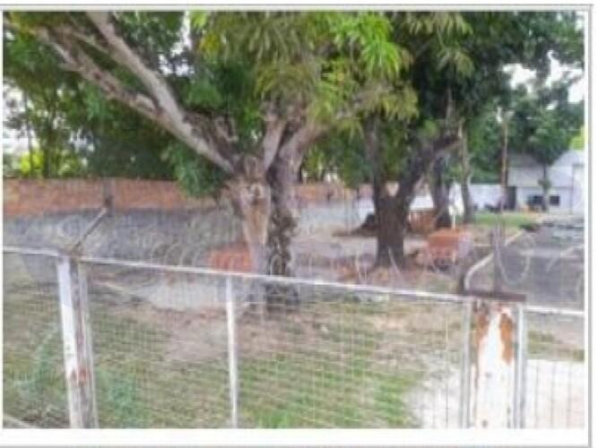 Imagem leilão