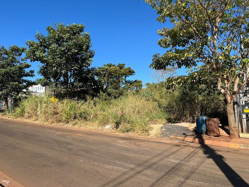 Imagem leilão