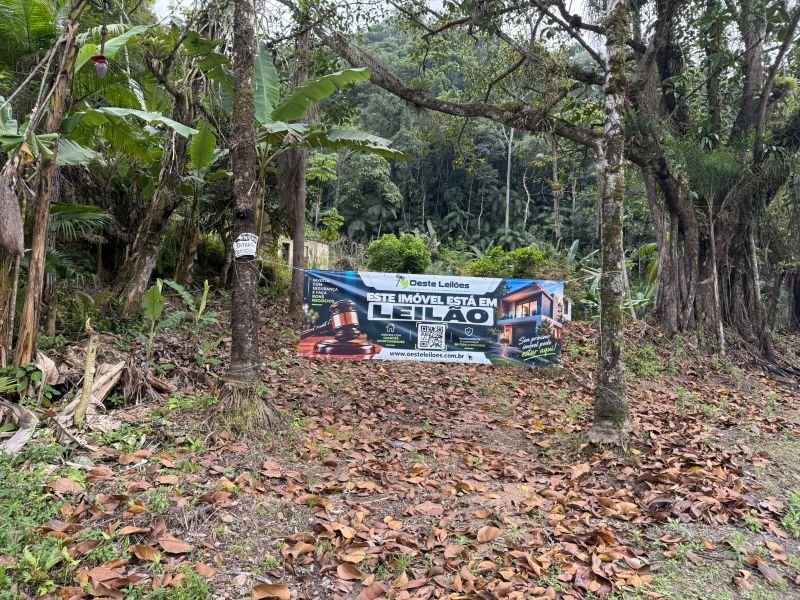 Imagem leilão