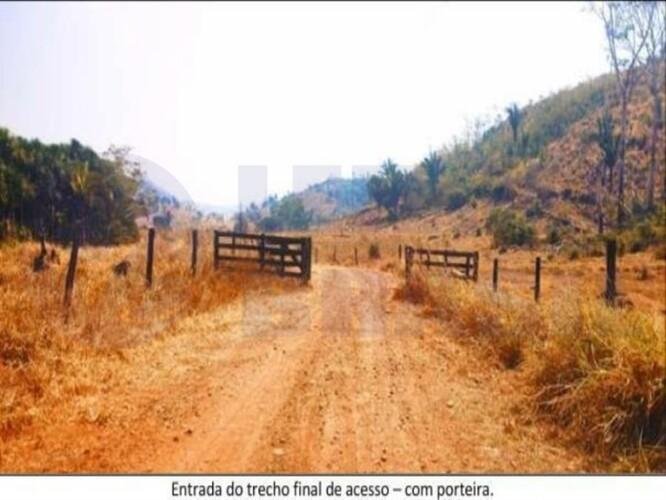 Imagem leilão