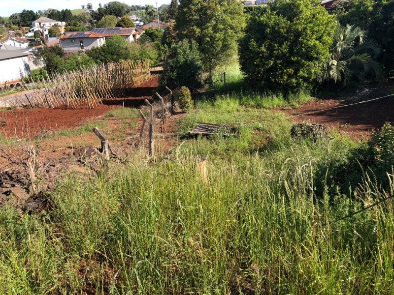 TERRENO URBANO CONSISTENTE DA METADE LESTE DO LOTE URBA.. em Áurea/RS - foto 7