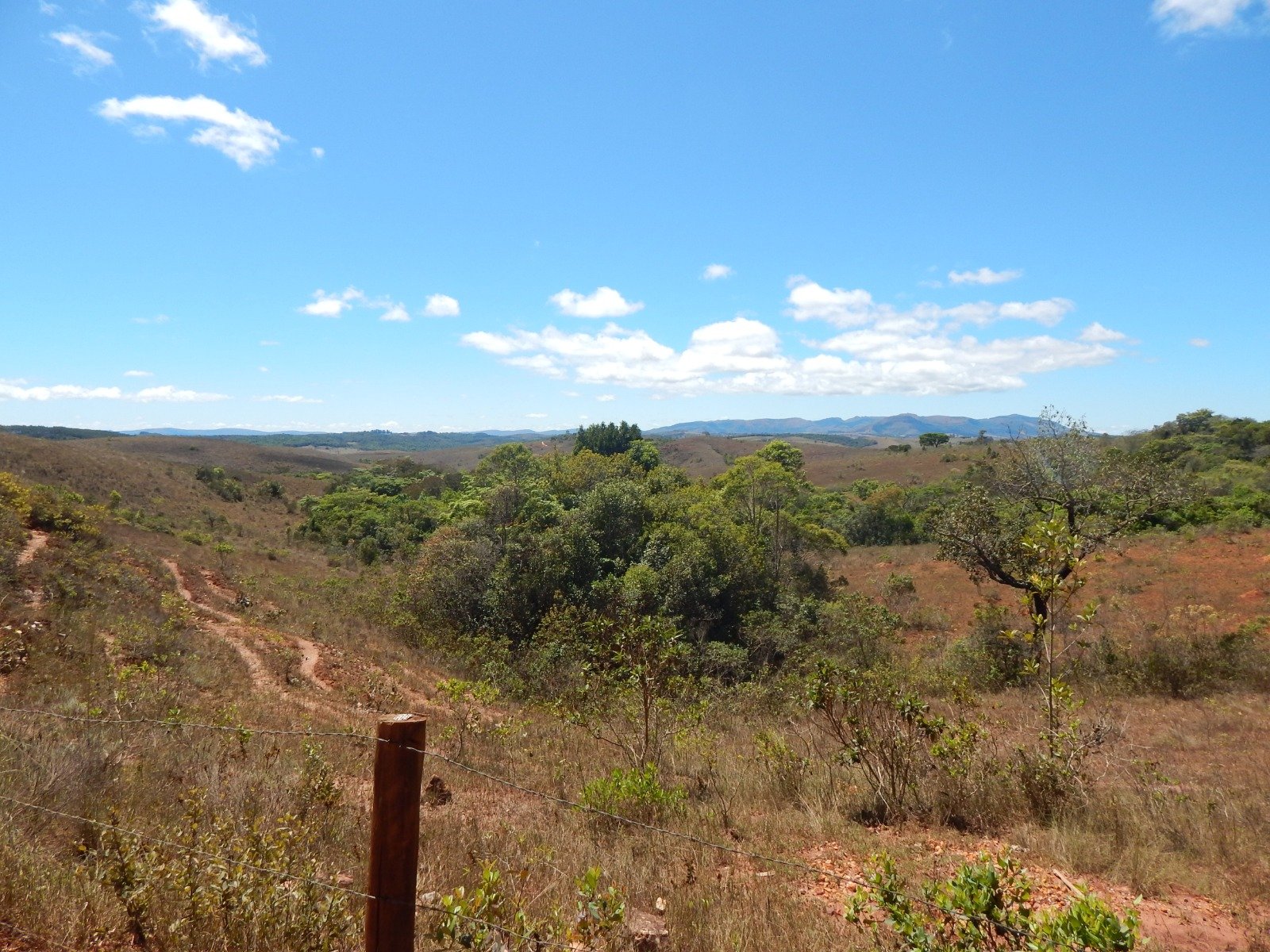 FAZENDA CAMPINAS APROXIMADAMENTE 90HA EM CRUZÍLIA /MG em Cruzília/MG - foto 6